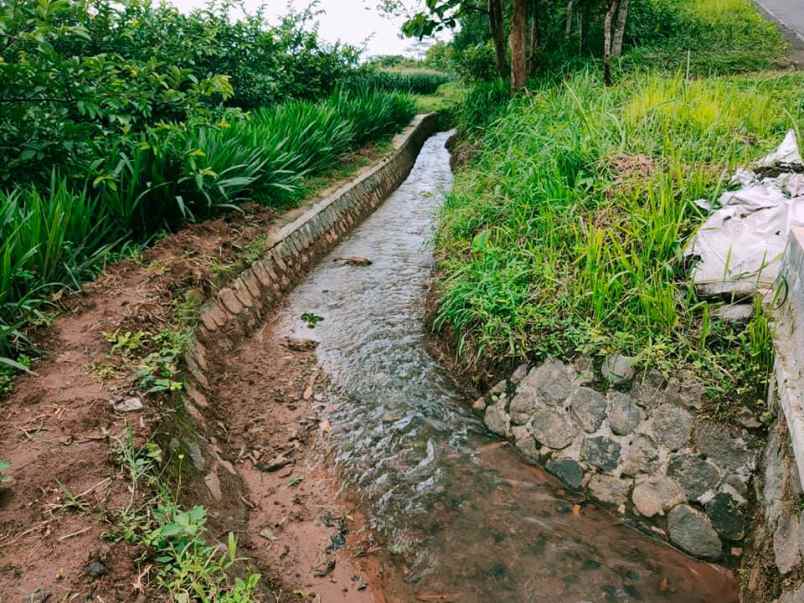 tanah kerjo karanganyar
