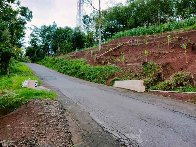 tanah kerjo karanganyar