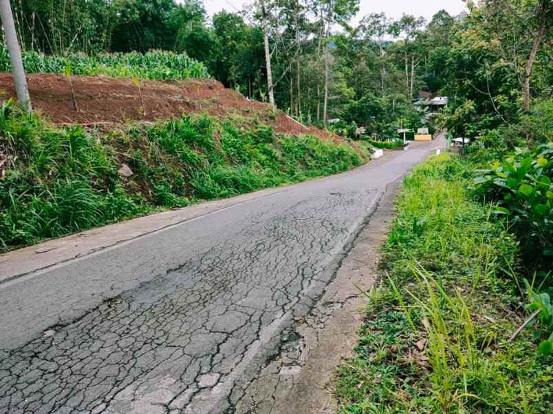 tanah kerjo karanganyar