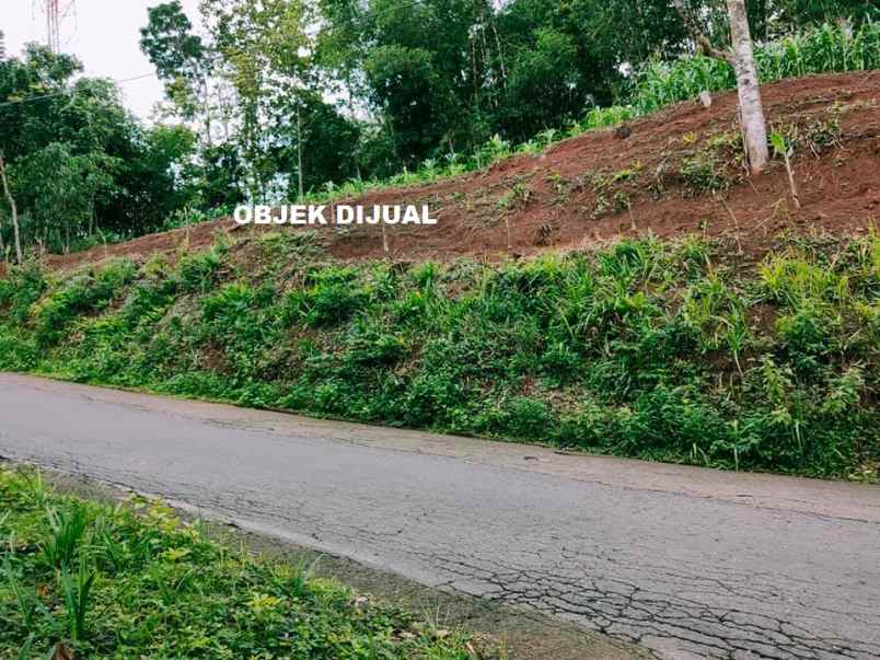 tanah kerjo karanganyar