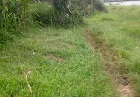 tanah komersil 5 hektar cileungsi bogor