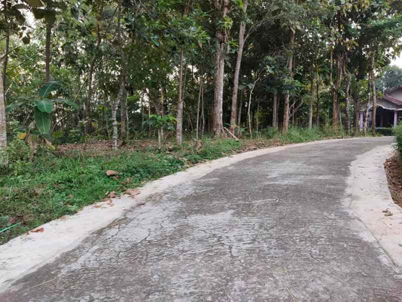 tanah mojogedang karanganyar