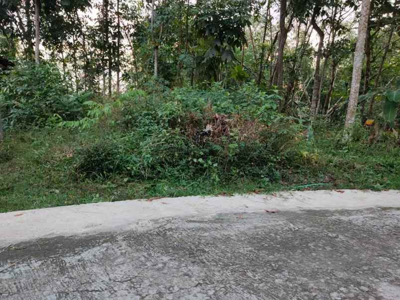 tanah mojogedang karanganyar