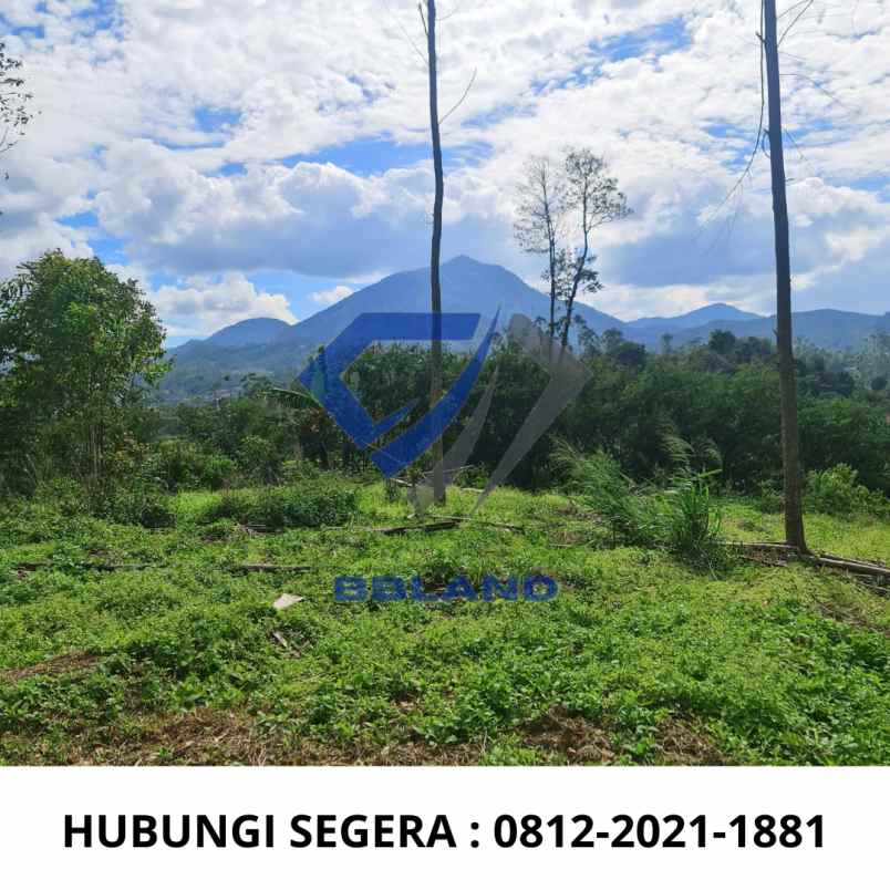 tanah murah di ciwidey cocok untuk villa dan glamping