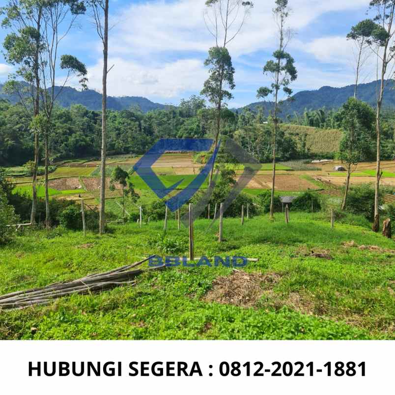 tanah murah di ciwidey cocok untuk villa dan glamping