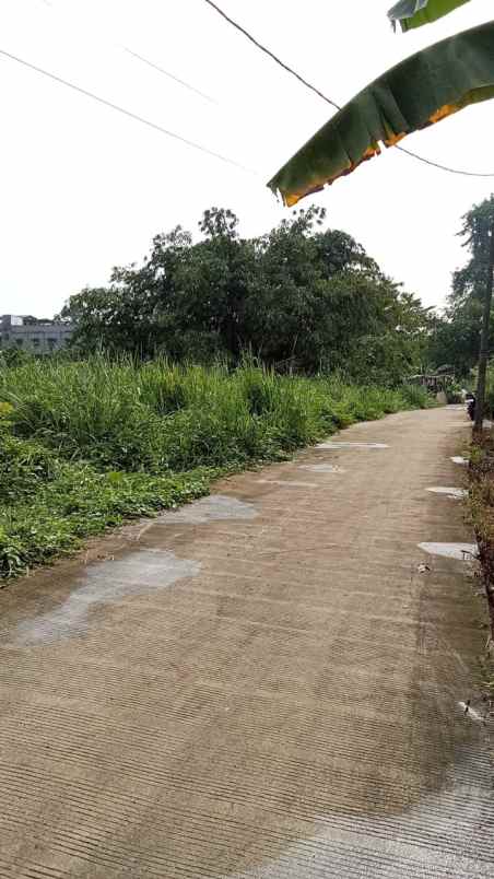 tanah murah dramaga bogor dekat bulog kampus ipb