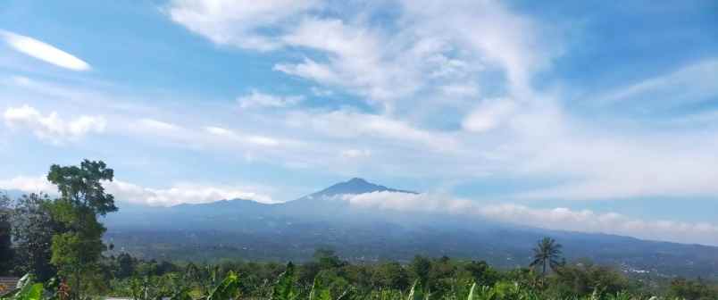 tanah murah sangat strategis view lepas dicijeruk