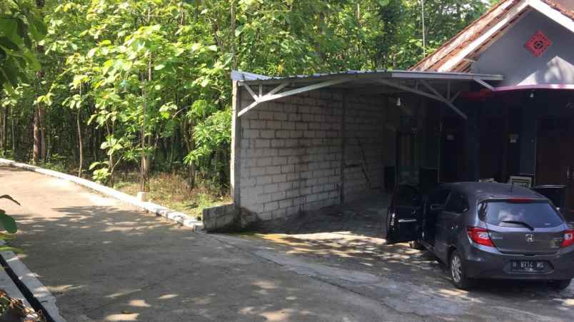 tanah pekarangan pohon jati bayat klaten