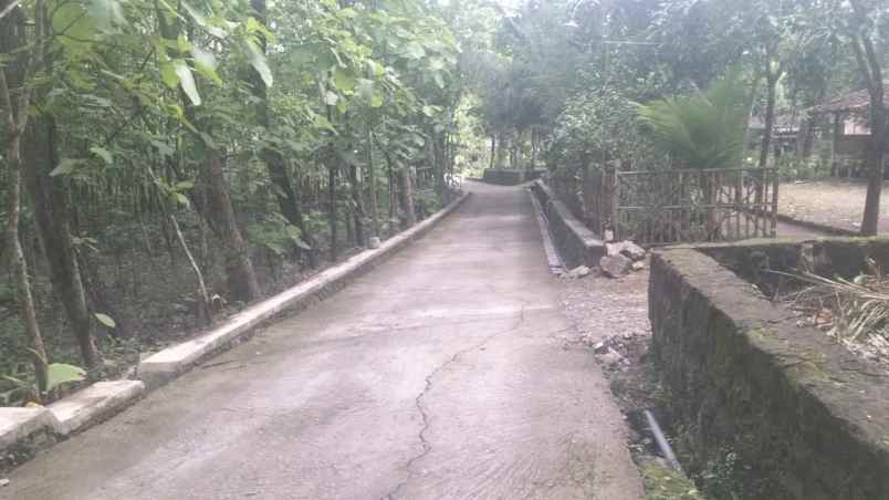 tanah pekarangan pohon jati bayat klaten