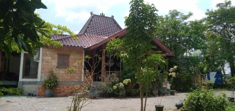 tanah plus bangunan serta gudang buat usaha