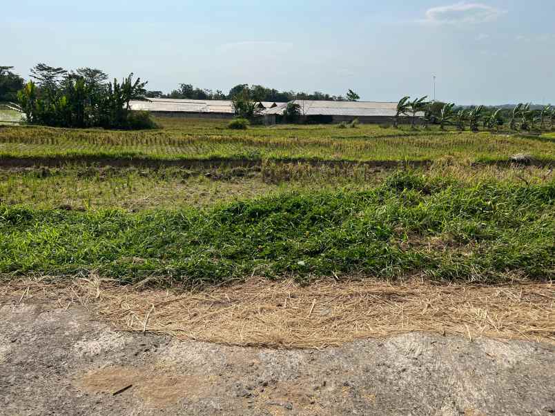tanah sawah 3400m view gunung lawu matesih