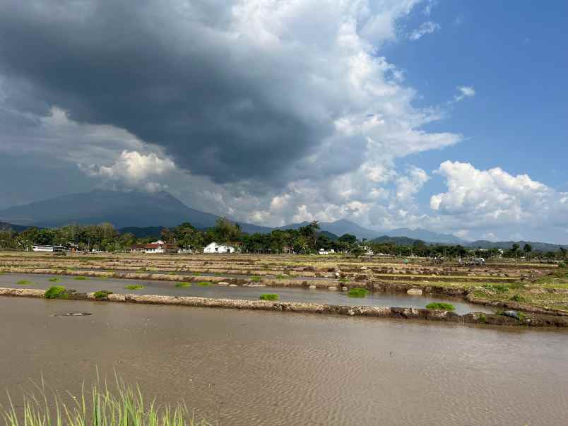 tanah sawah 3400m view gunung lawu matesih