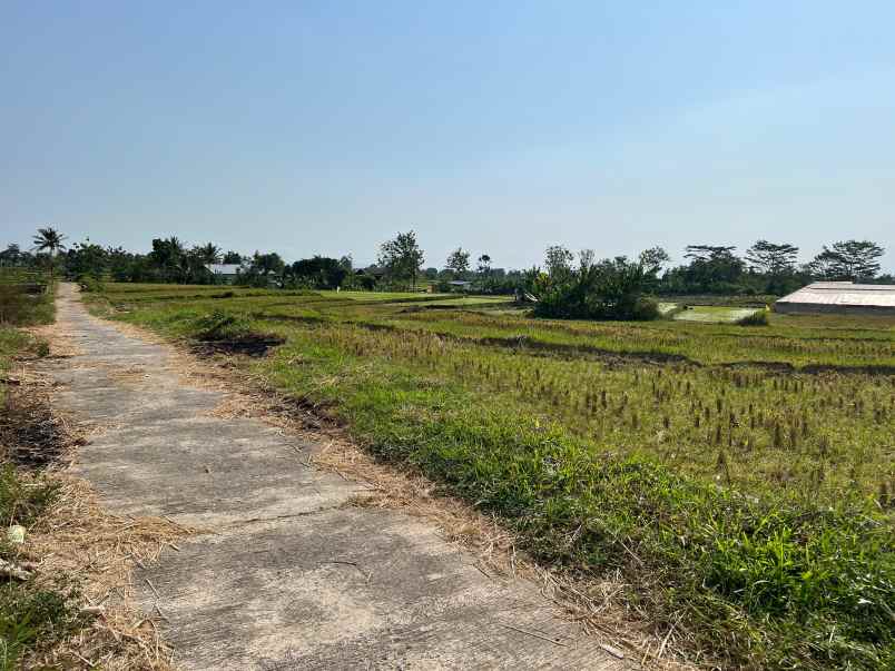 tanah sawah 3400m view gunung lawu matesih
