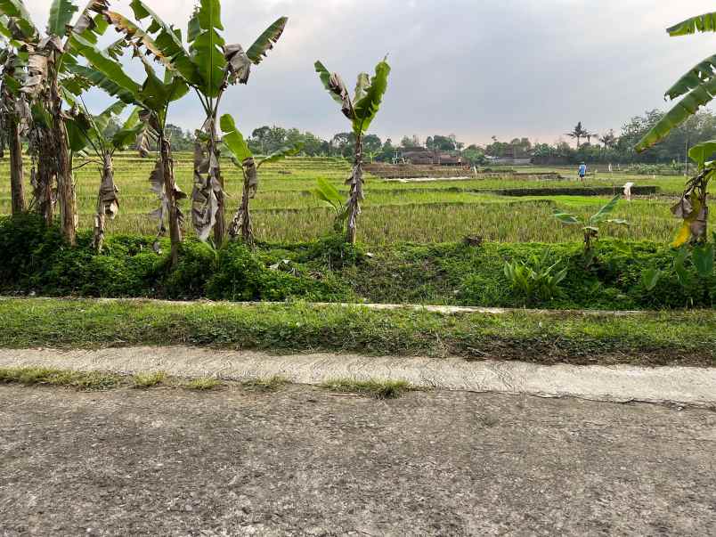 tanah sawah subur 3681m matesih karanganyar