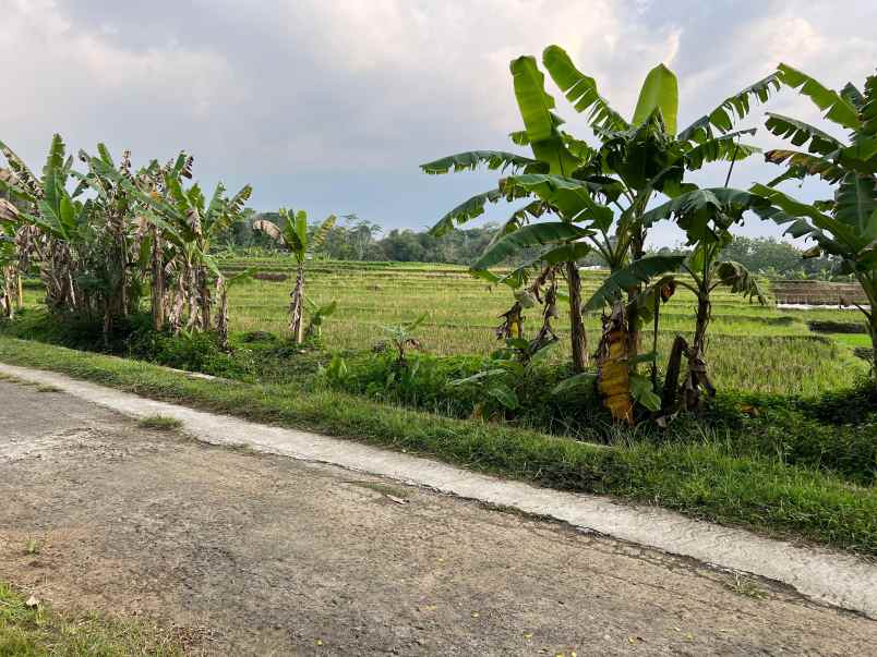 tanah sawah subur 3681m matesih karanganyar