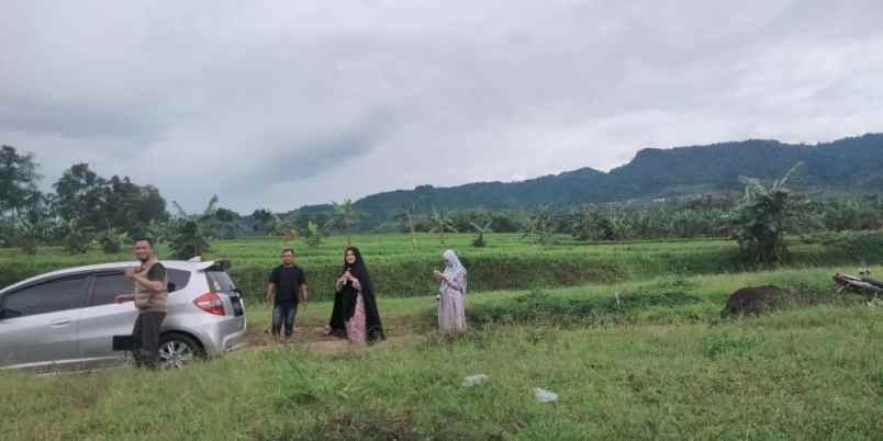 tanah sukamakmur kabupaten bogor
