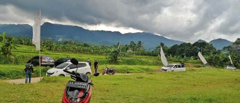 tanah sukamakmur kabupaten bogor
