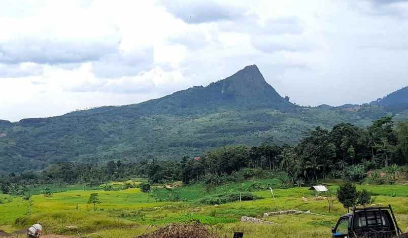 tanah sukamakmur kabupaten bogor