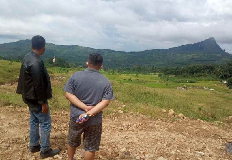 tanah sukamakmur kabupaten bogor