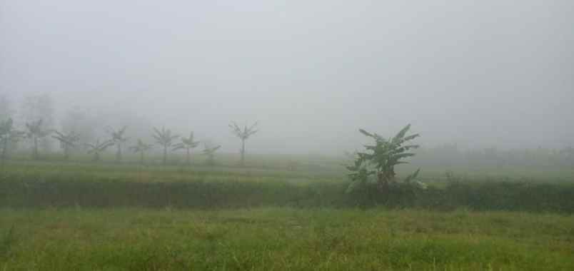 tanah sukamakmur kabupaten bogor