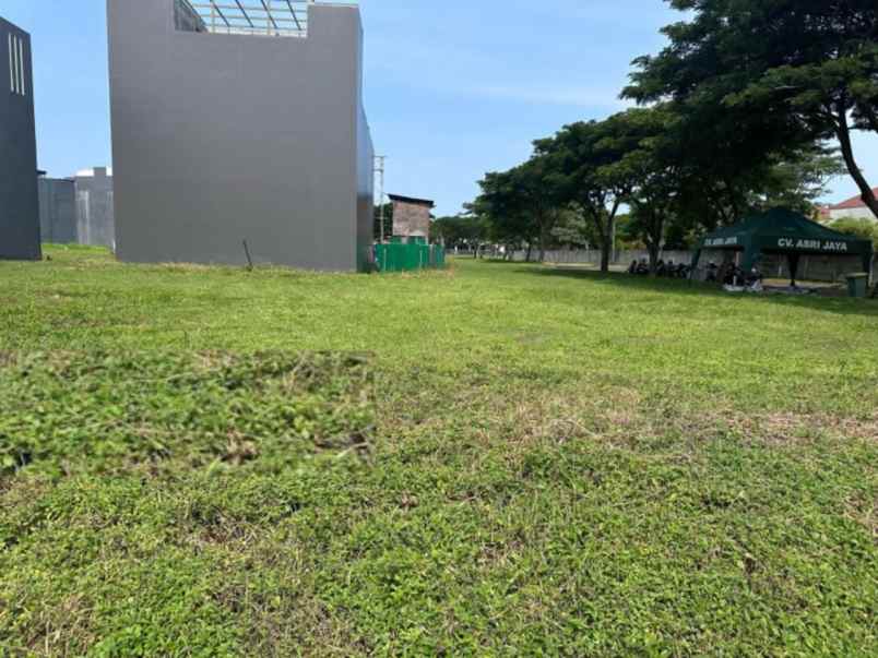 tanah virgin gorda pakuwon city surabaya