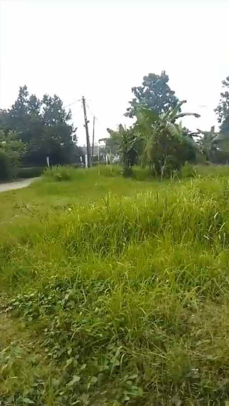 5 tanah kavling siap bangun pengasinan depok