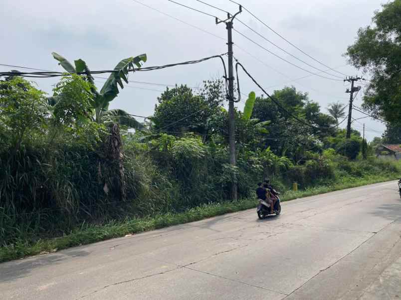 dijual cepat tanah munjul solear tangerang banten