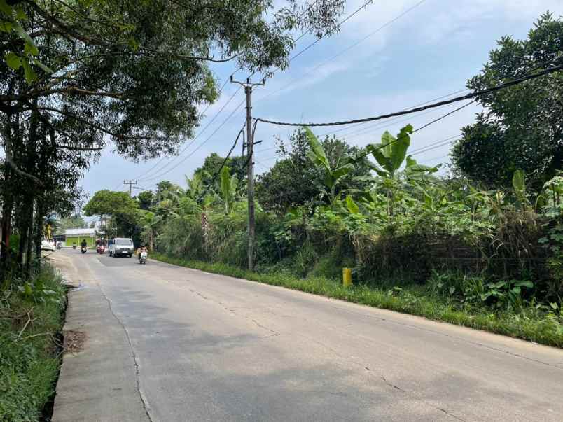 dijual cepat tanah munjul solear tangerang banten