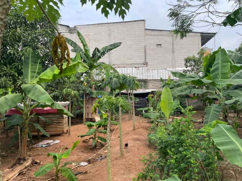 dijual cepat tanah munjul solear tangerang banten