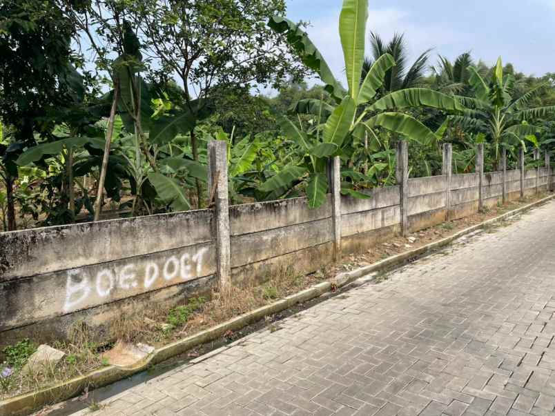 dijual cepat tanah munjul solear tangerang banten