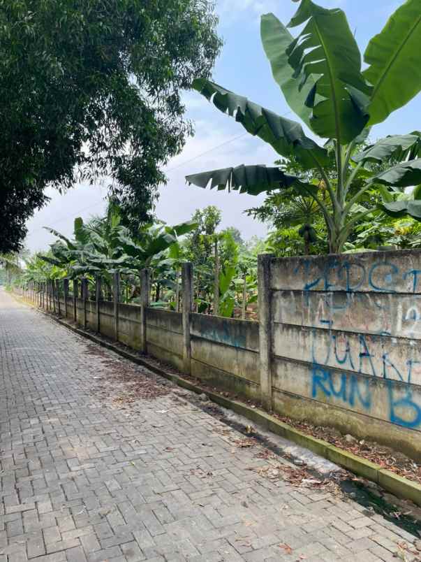 dijual cepat tanah munjul solear tangerang banten