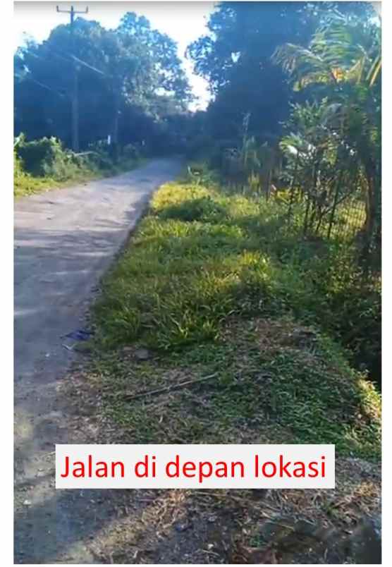 dijual kebun murah di jasinga bogor
