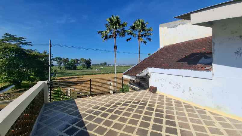 dijual rumah 2 lantai di desa klompangan ajung jember