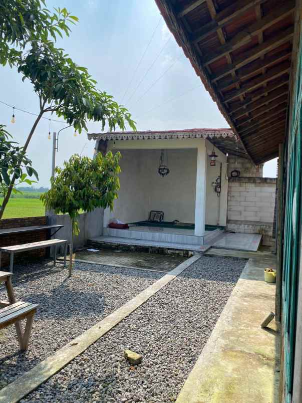 dijual rumah di nganjuk