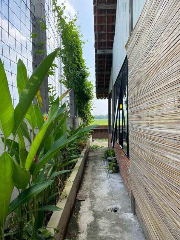 dijual rumah di nganjuk