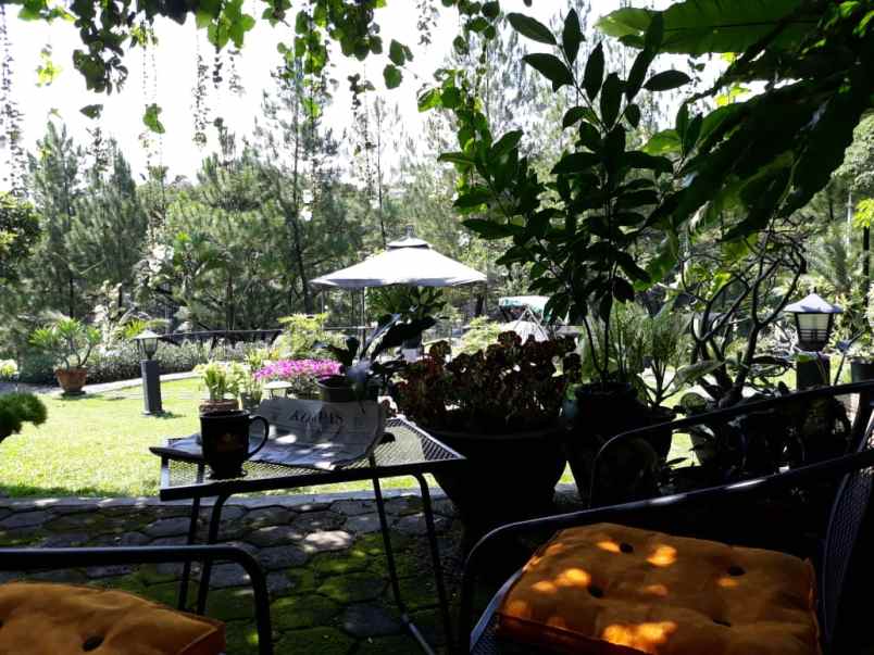 dijual rumah lap golf sentul city bogor