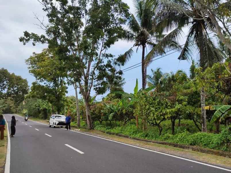 dijual tanah antosari kec selemadeg