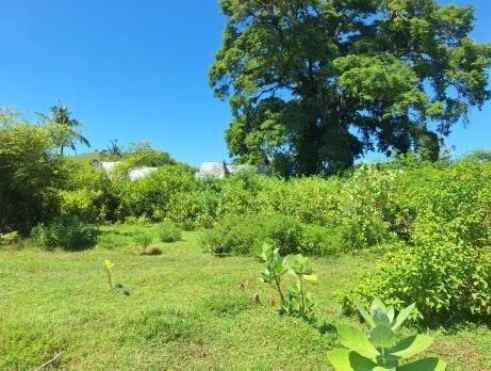 dijual tanah awang lombok