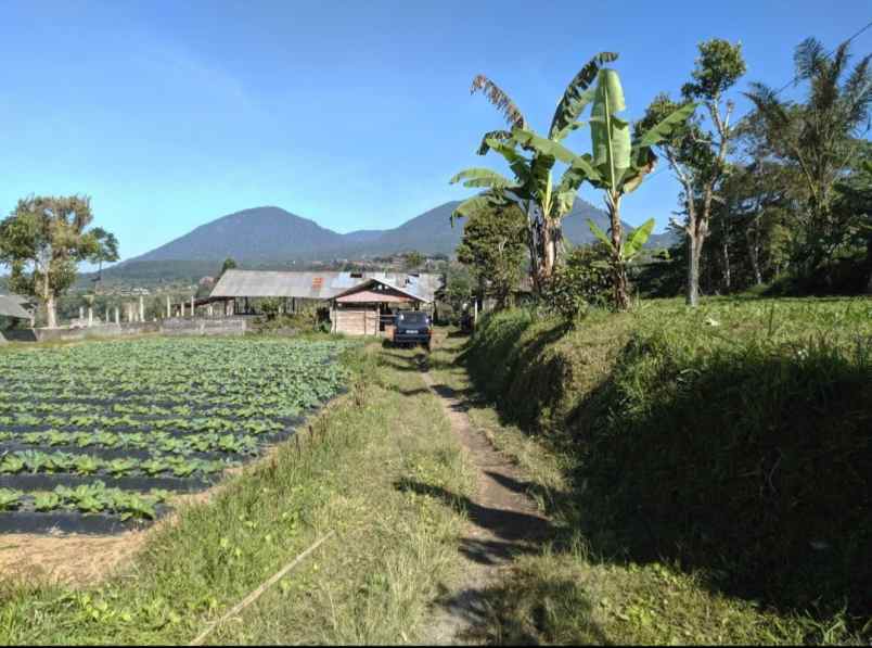 dijual tanah baturiti tabanan bali