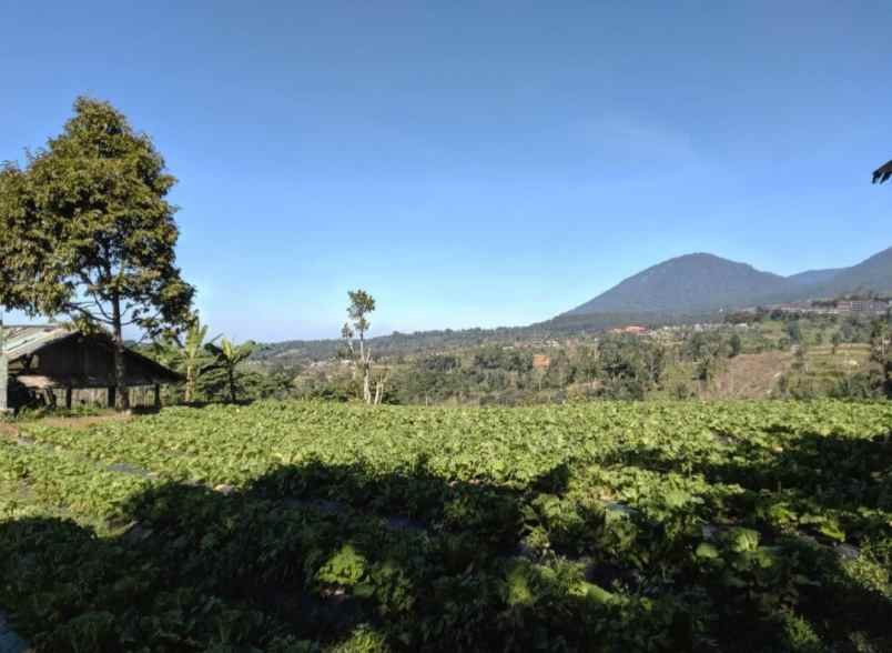 dijual tanah baturiti tabanan bali