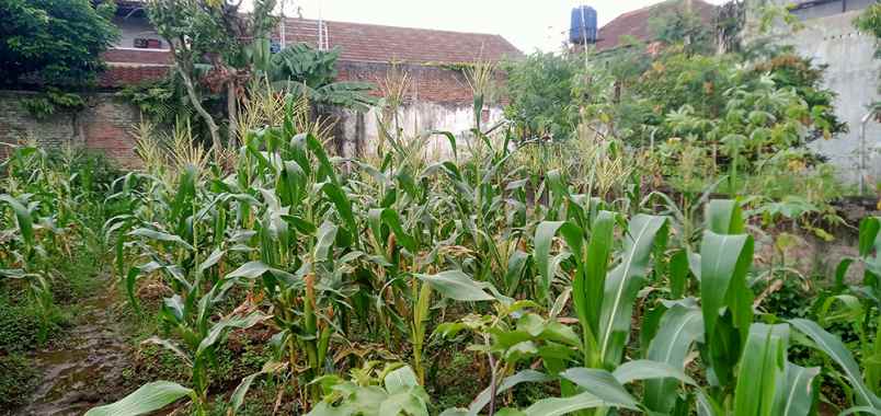 dijual tanah cisaranten kulon