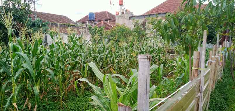 dijual tanah cisaranten kulon