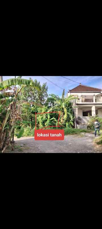 dijual tanah desa pandak gede kec