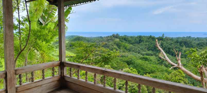 dijual tanah desa temboan kecamatan