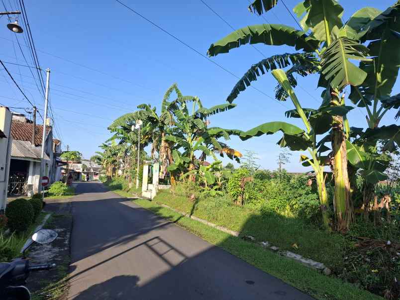 dijual tanah di kebonsari jember jl letjend sutoyo