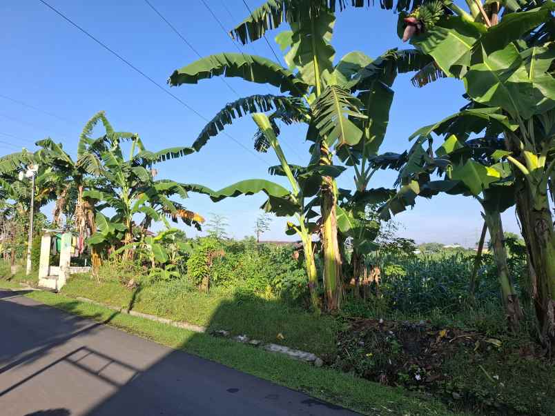 dijual tanah di kebonsari jember jl letjend sutoyo