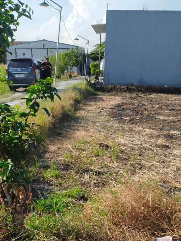 dijual tanah gempolkurung menganti