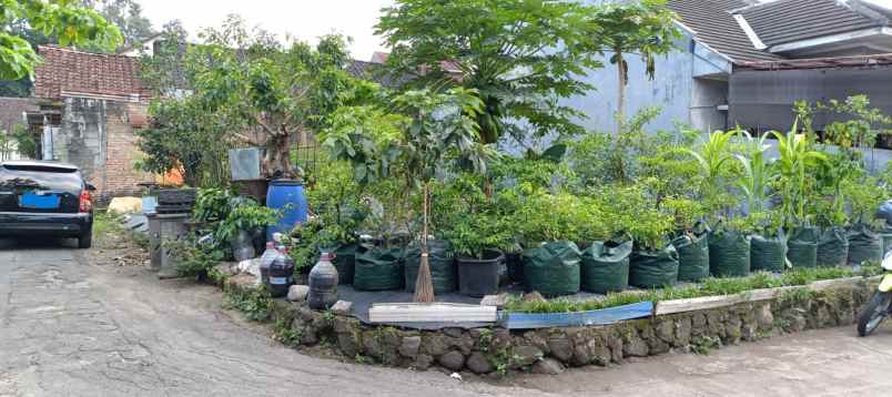 dijual tanah gg krakatau jl sembada