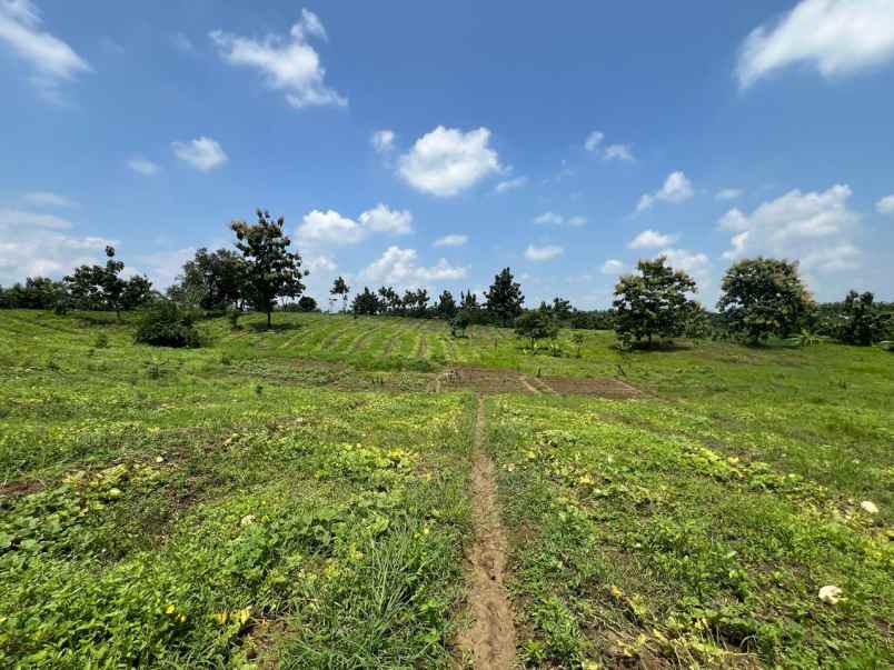 dijual tanah jalan alternatip subang