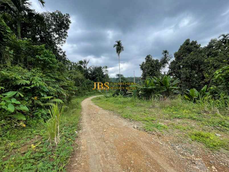 dijual tanah jalan namorambe sembahe